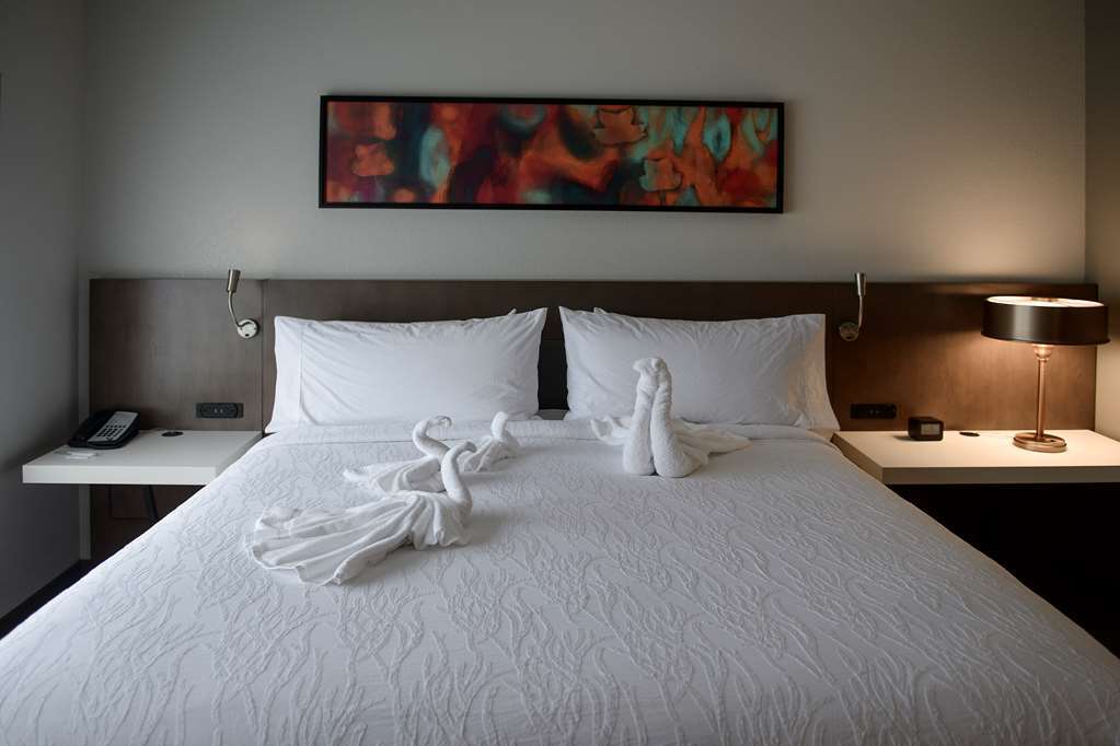 Hilton Garden Inn Louisville Mall Of St. Matthews Room photo